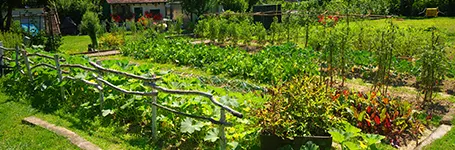 El jardín campestre