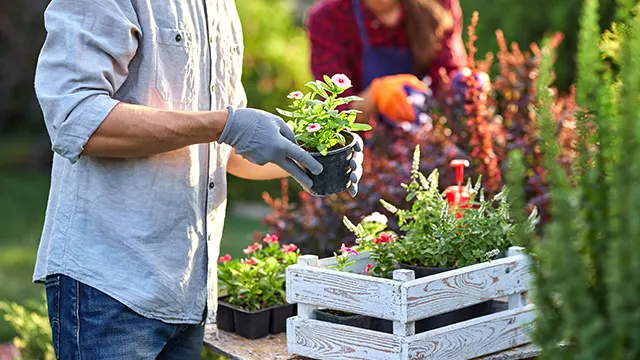 Equipamiento para plantas